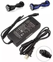 Cargador Hoverboard YH-100W-42V2A