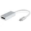 Adaptador Tipo C A DP KMDP-TC