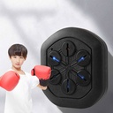 Boxeo Musical CaiDi Toys CD8818-1
